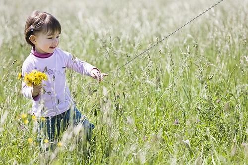 Biosphoto | 720050 | Young girl and bunch of dandelion in a meadow Provence ; Age: 3 years  | &copy; Frédérique Bidault / Biosphoto