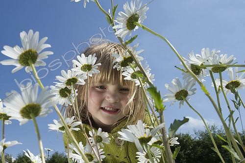 Biosphoto | 2138882 | Young girl in field of Ox-eye Daisies North Norfolk, England, summer | &copy; David Tipling / Biosphoto