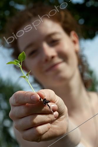 Biosphoto | 891085 | Young girl with a seedling of basil in a garden | &copy; Philippe Giraud / Biosphoto