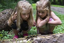 Biosphoto | 2488247 | Young girls observing a Fire Salamander (Salamandra salamandra), Vosges du Nord Regional Nature Park, France | &copy; Michel Rauch / Biosphoto