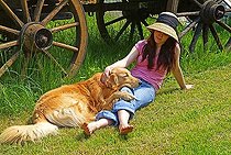 Biosphoto | 1452343 | Young woman is playing with a golden retriever dog in the garden | &copy; Benjamin Redeleit / imageBROKER / Biosphoto