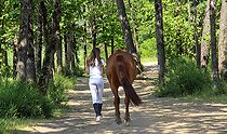 Biosphoto | 2575248 | Young woman walking her horse along a country lane, Sarthe, France | &copy; Michel Gile / Biosphoto