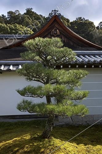 Biosphoto | 970219 | Zen garden in the temple Nanzen-ji in Kyoto Japan | &copy; Michel Gunther / Biosphoto