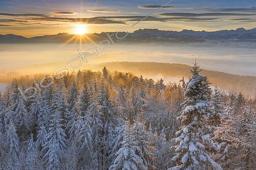 Biosphoto | 2461458 | Zurich Oberland with view of Mürtschenstock and Glärnisch, Zurich Oberland, Switzerland, Europe | &copy; Patrick Frischknecht / imageBROKER / Biosphoto