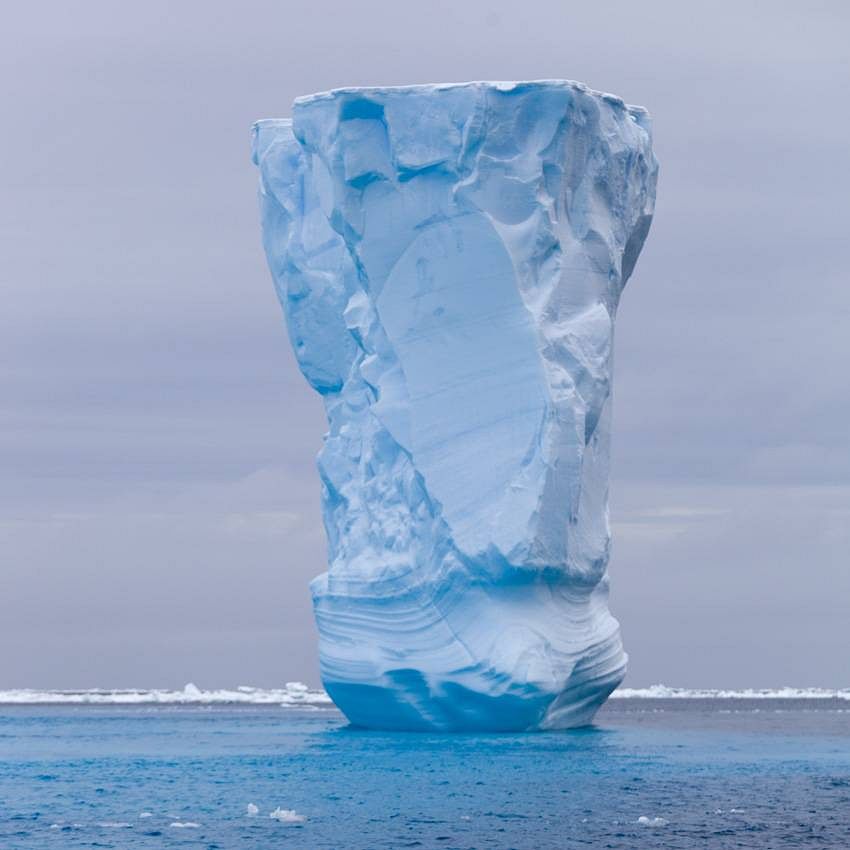 Paradoxe Antarctique