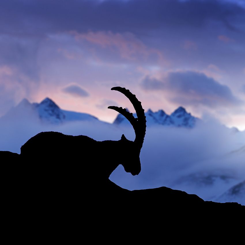 At the crack of dawn...