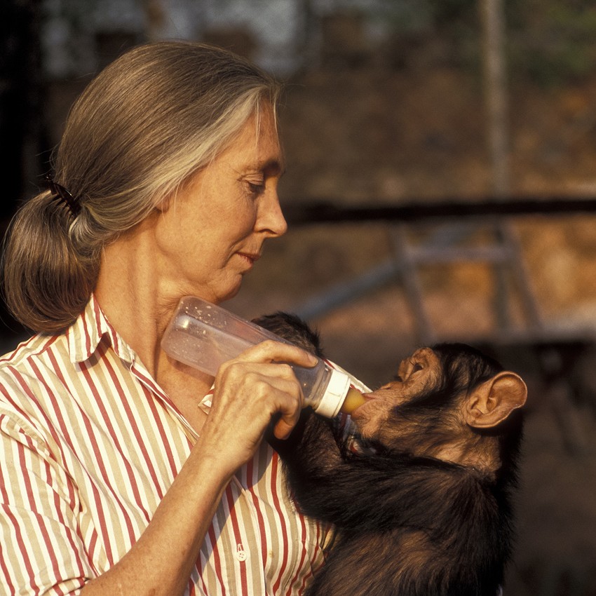 Jane Goodall (1934-2025)