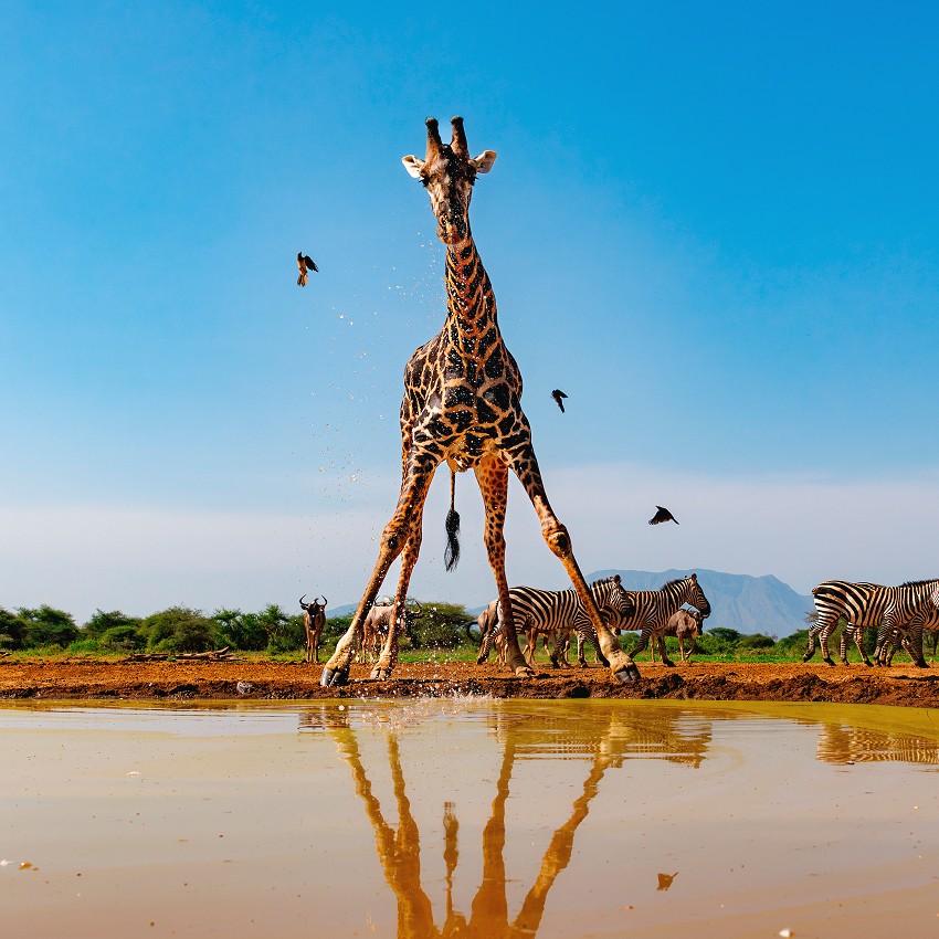 New images: september 2025