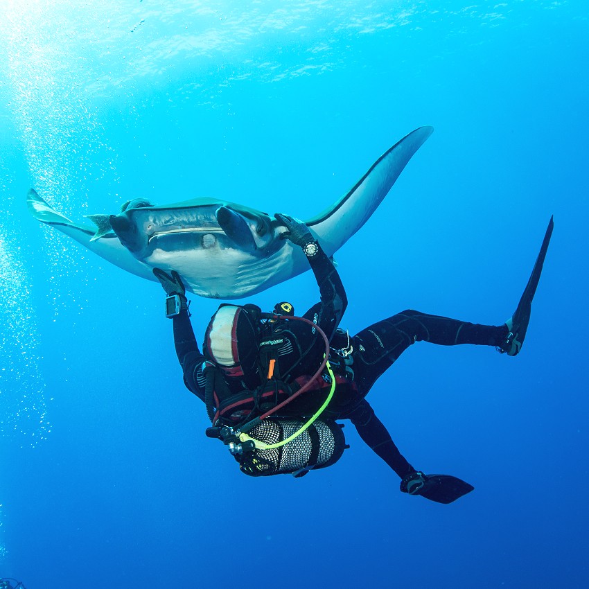 New images: october 2025