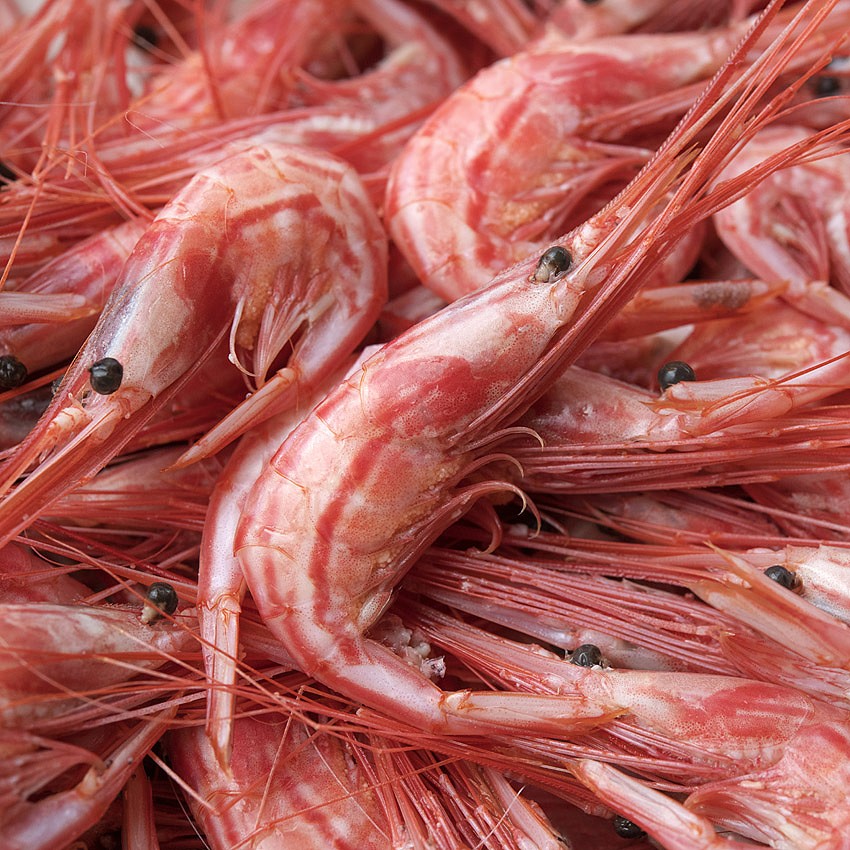 Photo reportage: Small-scale fishing in Tenerife