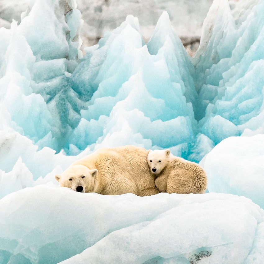 New images: December 2025