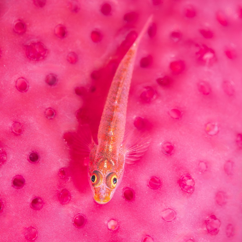 New images: April 2026