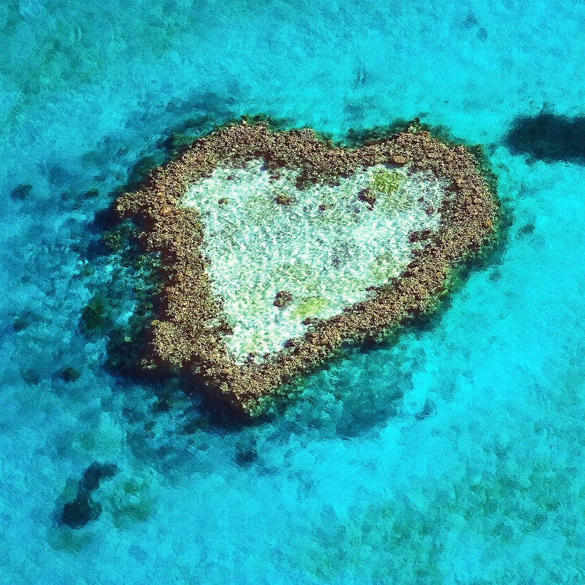 Océan mon amour
