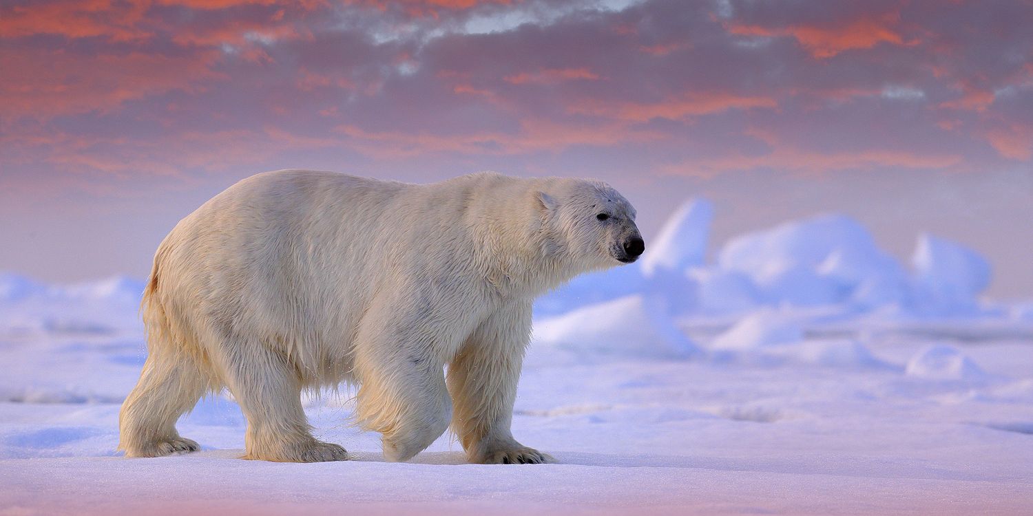 2609669 © Ondrej Prosicky / imageBROKER / Biosphoto