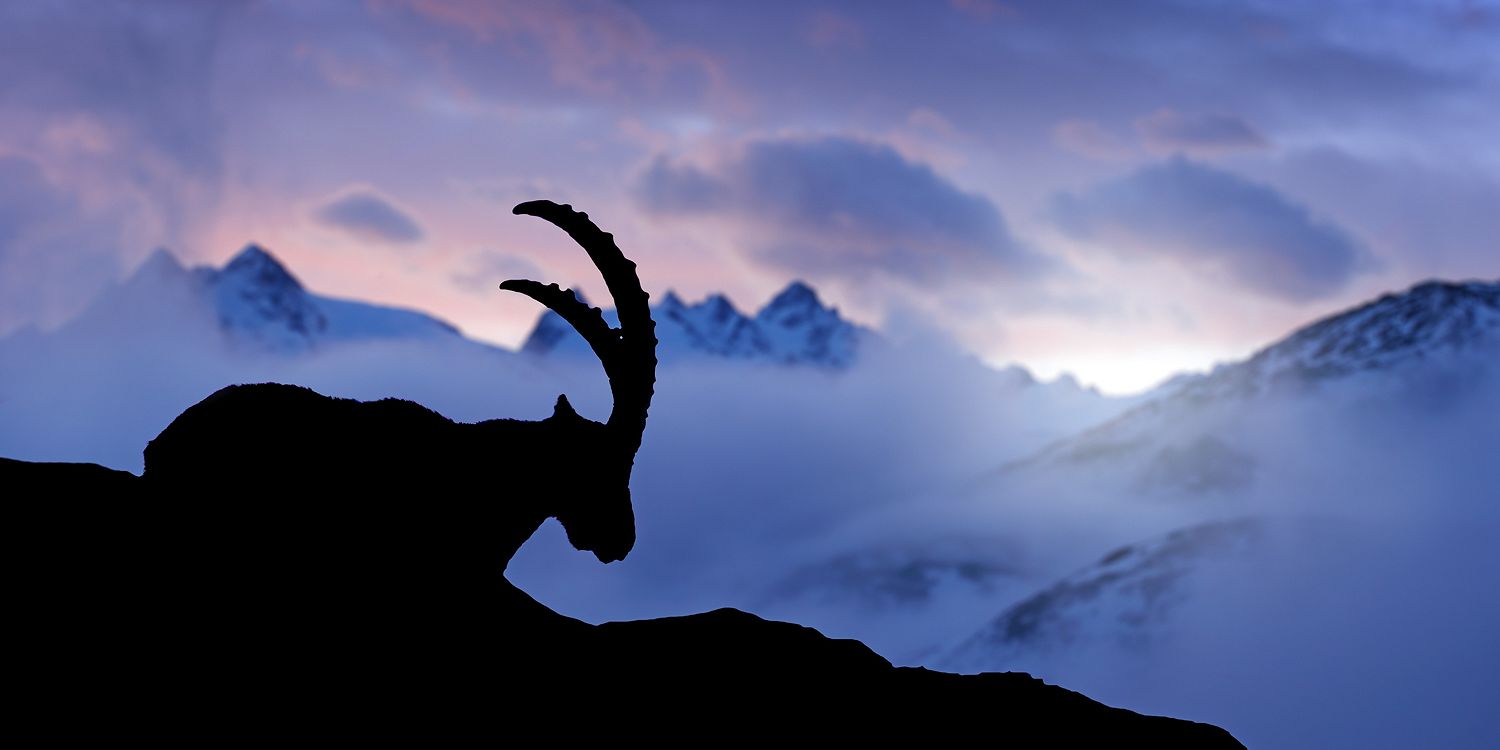 2609872 © Ondrej Prosicky / imageBROKER / Biosphoto