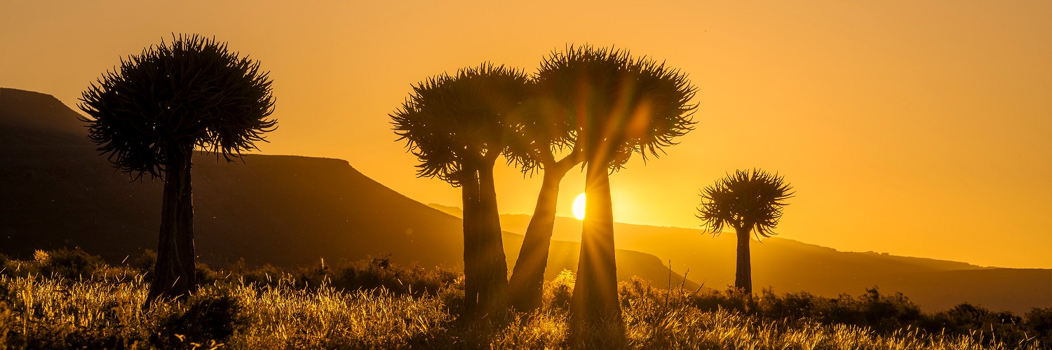 2615286 © Roger de La Harpe / Biosphoto