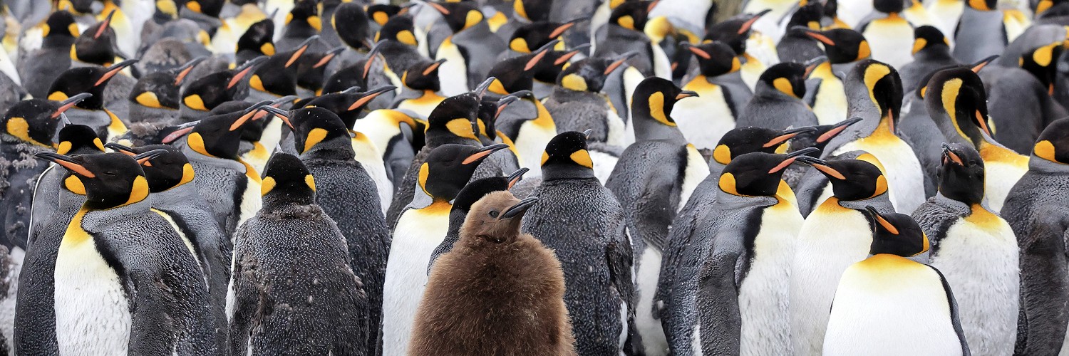 2619014 © Brigitte Marcon / Biosphoto