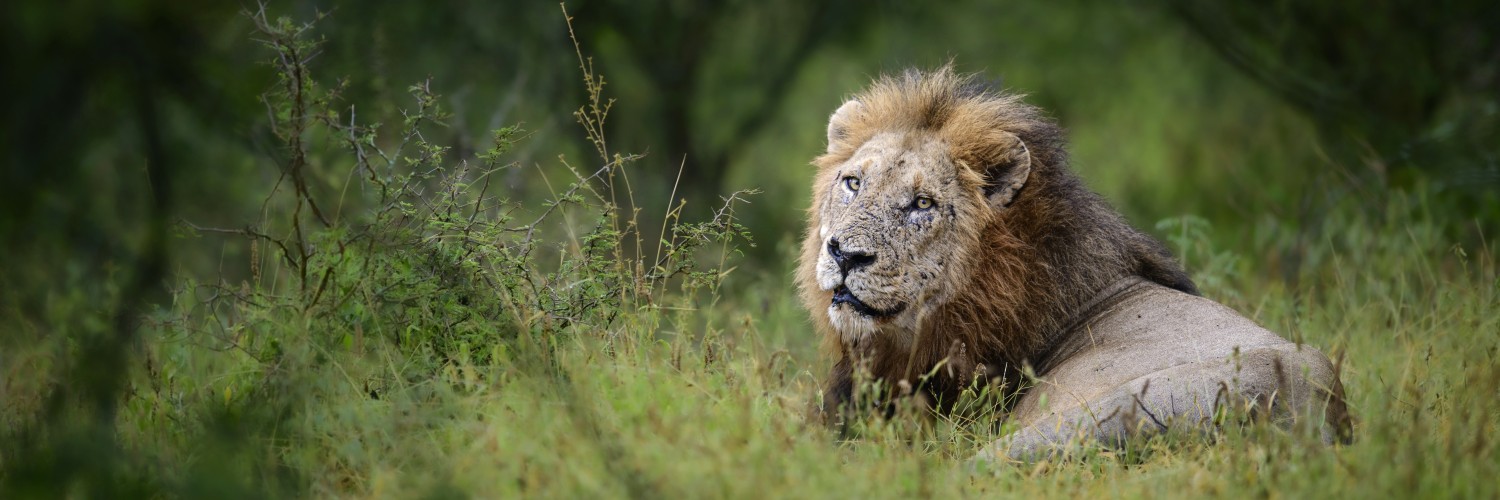 2619252 © Clément Fontaine / Biosphoto