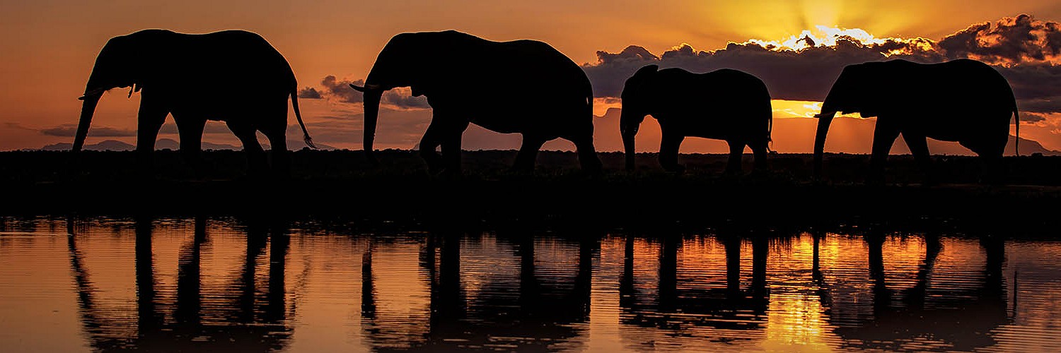 2622214 © Marion Vollborn / BIA / Biosphoto