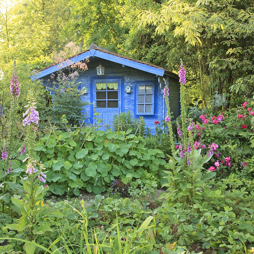 Garden Tour: the Jardin des Lianes
