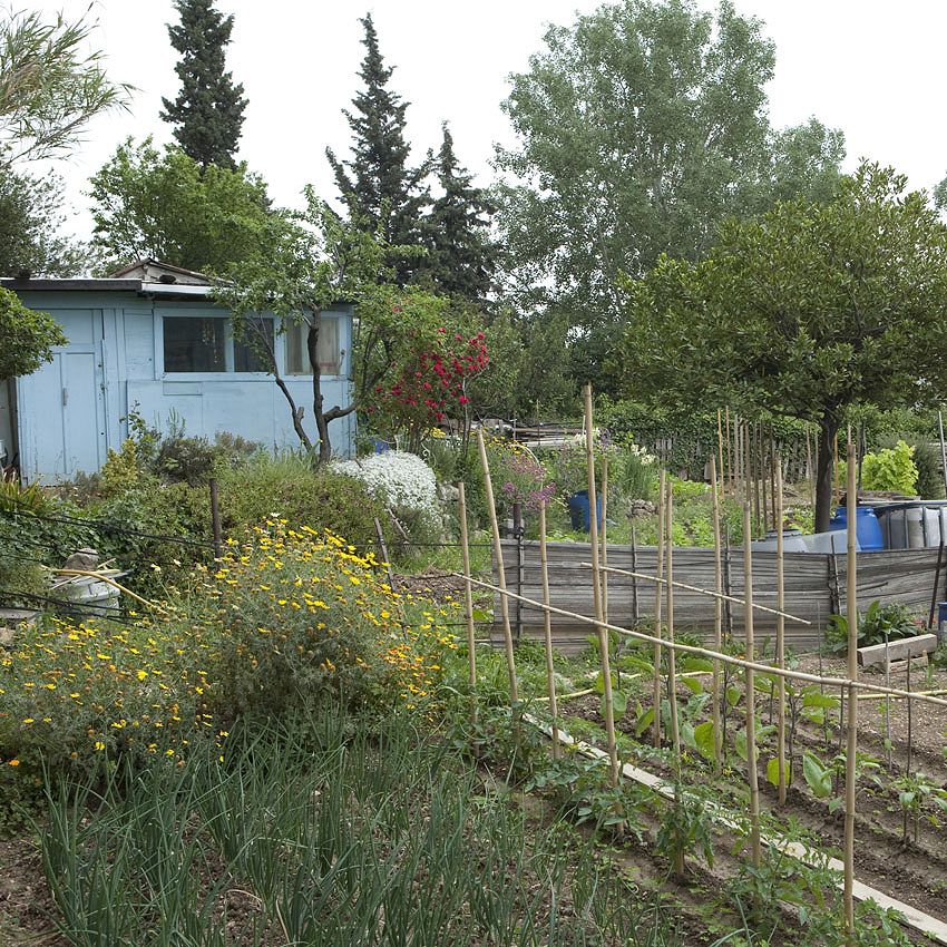 Green Ideas: aygalades Allotments (Marseille, France)