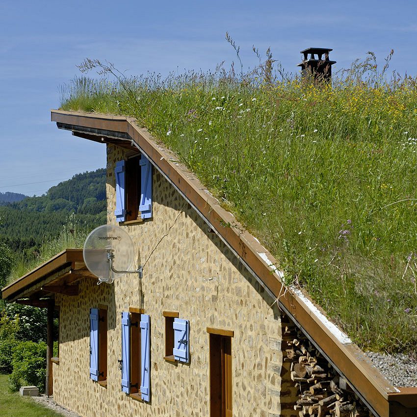 Green Ideas: living Roof