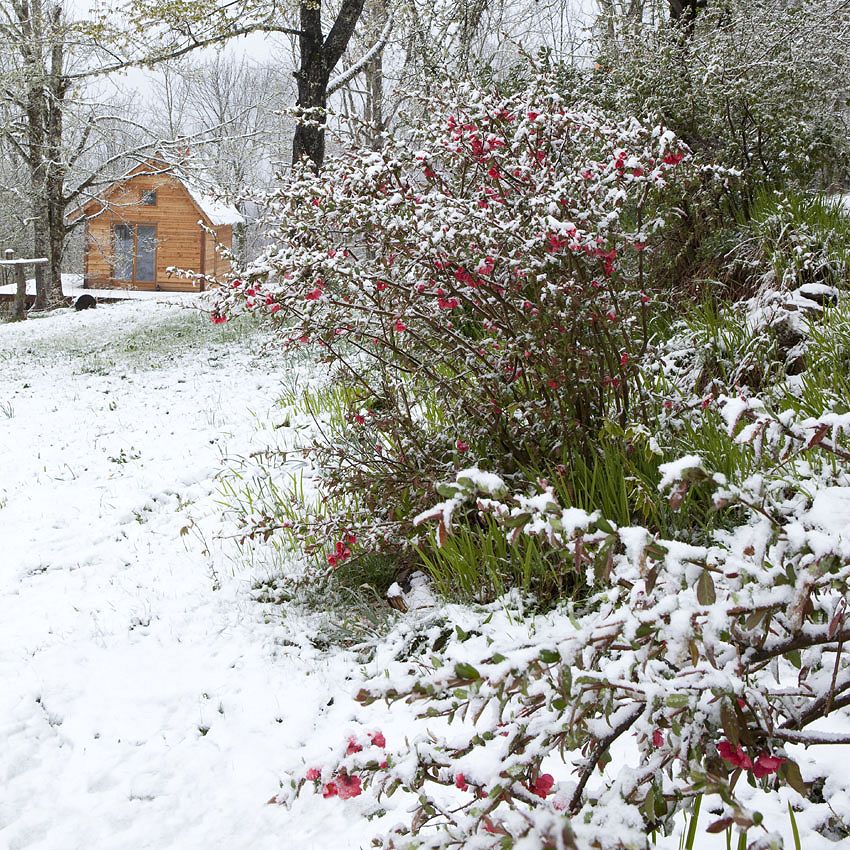 Green Ideas: a garden under the snow