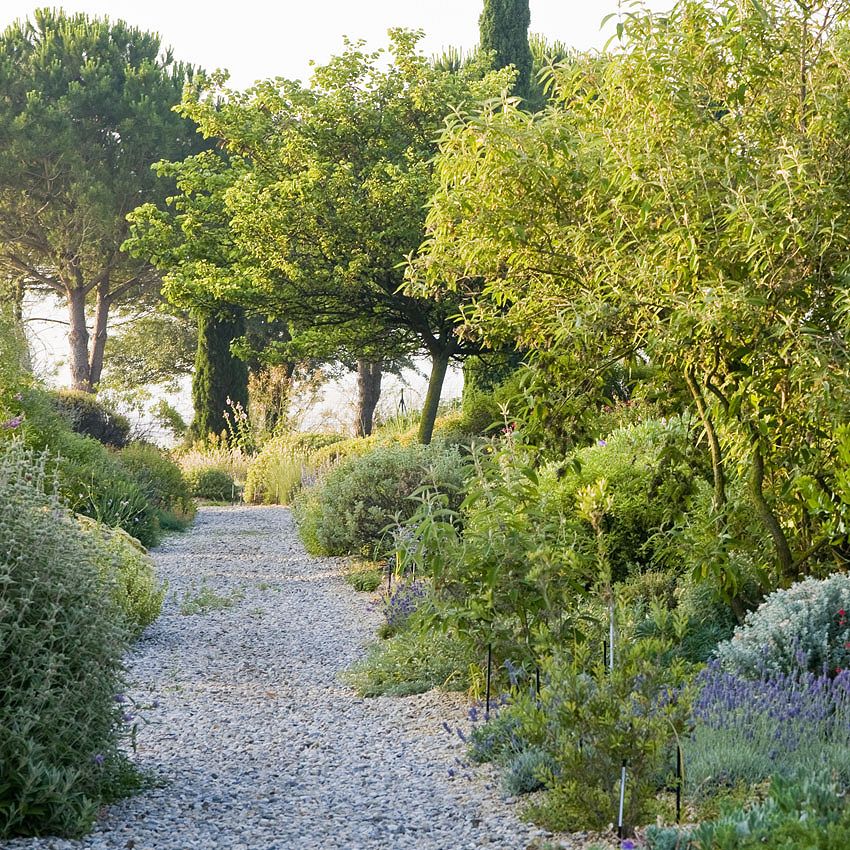 Garden Tour: no water!
