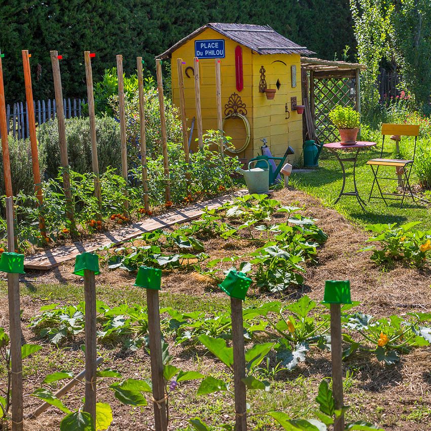 Green Ideas: an organic kitchen garden in Provence