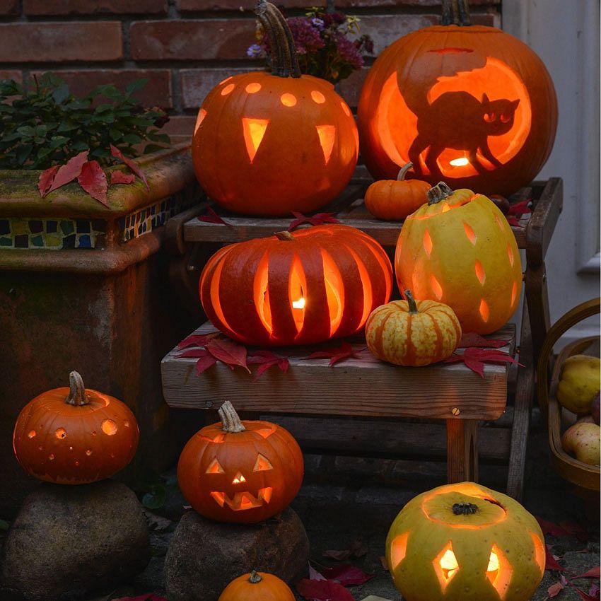 Lifestyle: halloween pumpkin