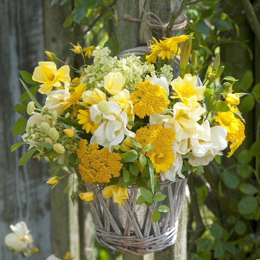 Lifestyle: colorful bouquet