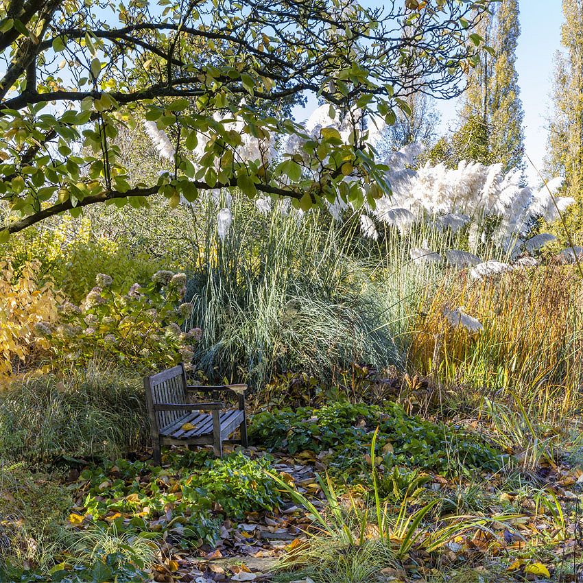 Garden Tour: St Timothee in early November, Maidenhead