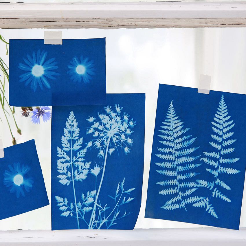 Lifestyle: cyanotype