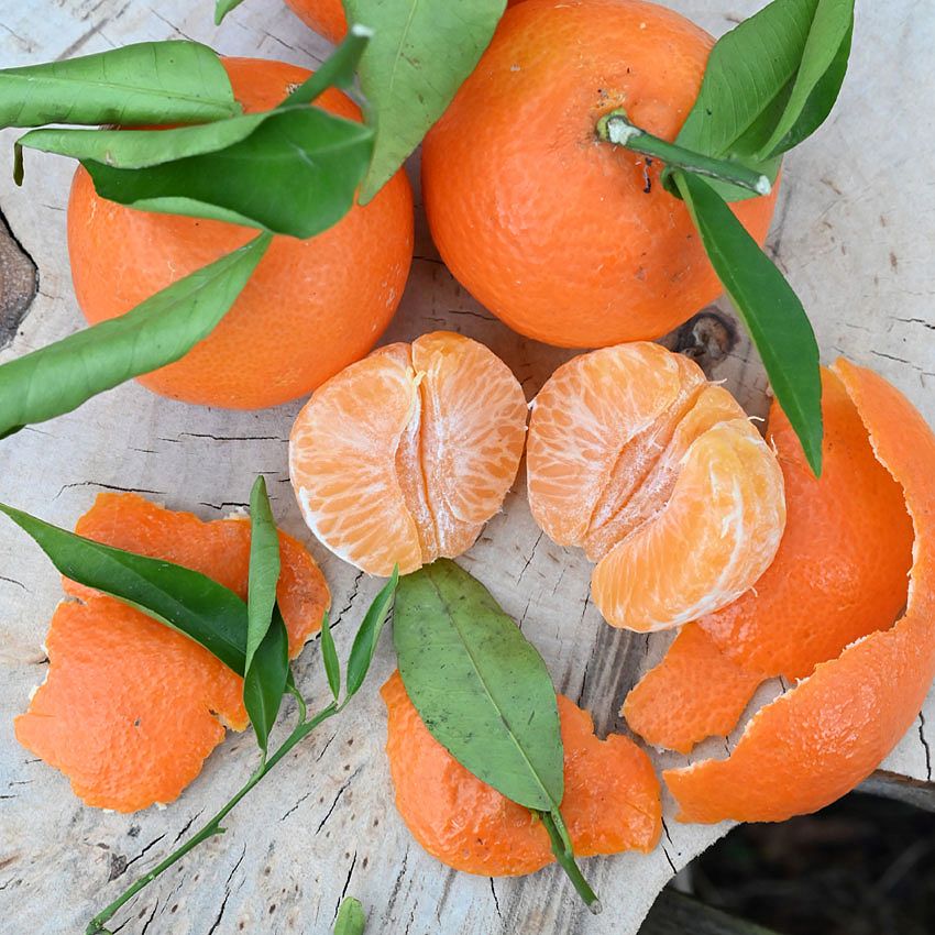 Green Ideas: full of Vitamin C!