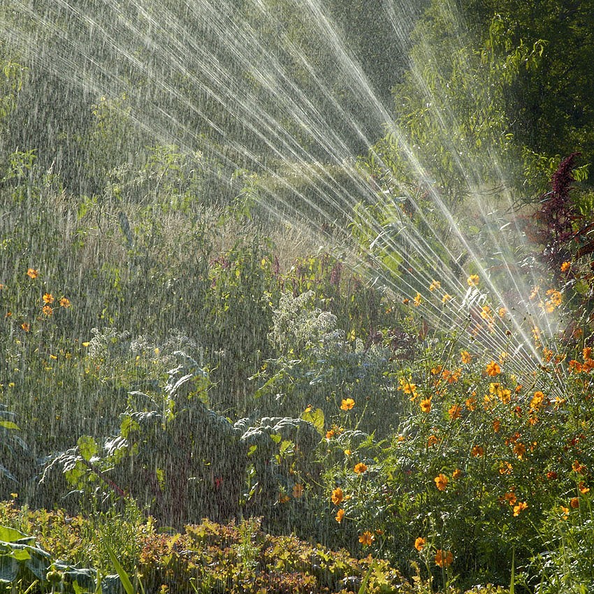 Idées vertes : économiser l'eau