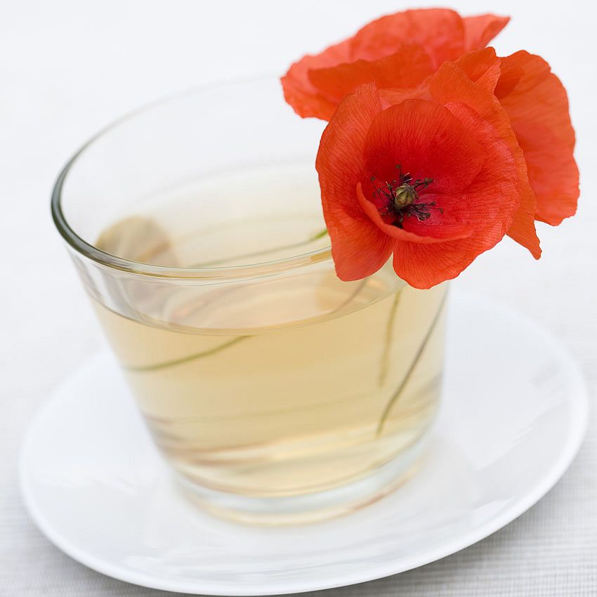 Green Ideas: herb tea By Frédérique Bidault