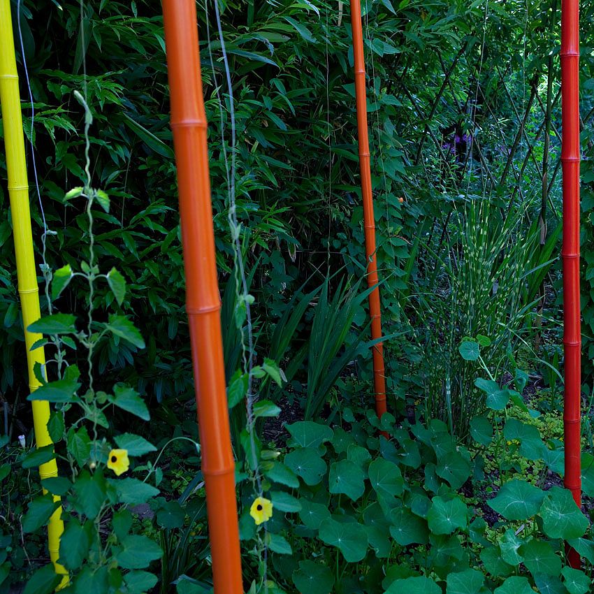 Green Ideas: Eric Ossart and Arnaud Maurières