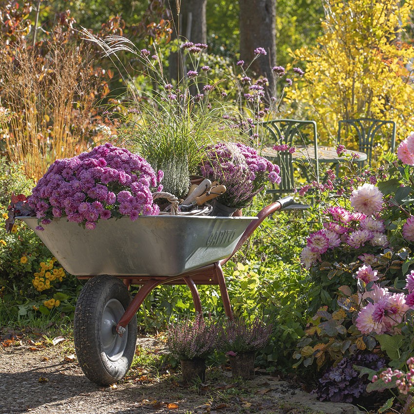 Garden & Deco