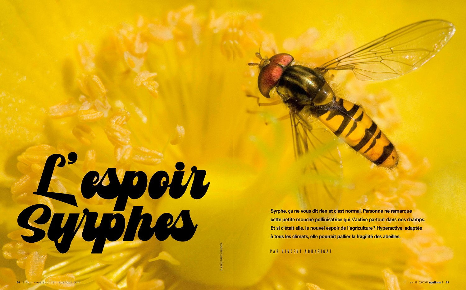 Epsiloon, mai 2026. Photo Claudius Thiriet / Biosphoto