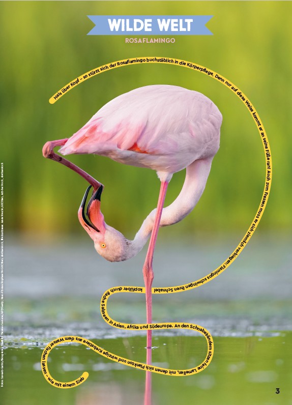 Mein erstes GEOlino, mai 2026. Photo Saverio Gatto / Biosphoto