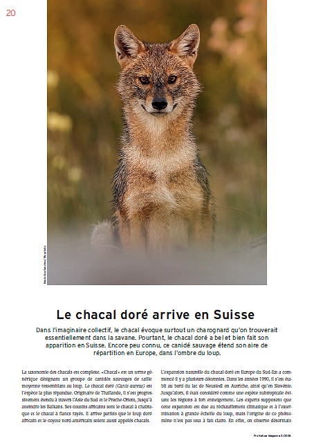 ProNatura, juin 2026. Photo Mario Cea Sanchez / Biosphoto