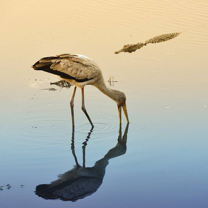 Philippe-Alexandre Chevallier