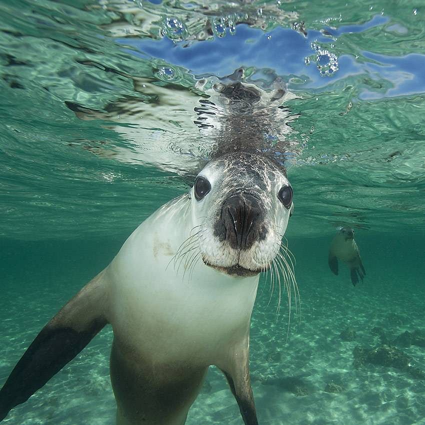 Tobias Bernhard Raff